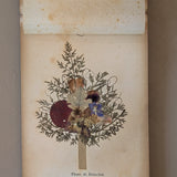 Late 1800s Antique "Flowers of the Holy Land" Pressed Flower Herbarium Book from 1871