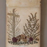 Late 1800s Antique "Flowers of the Holy Land" Pressed Flower Herbarium Book from 1871