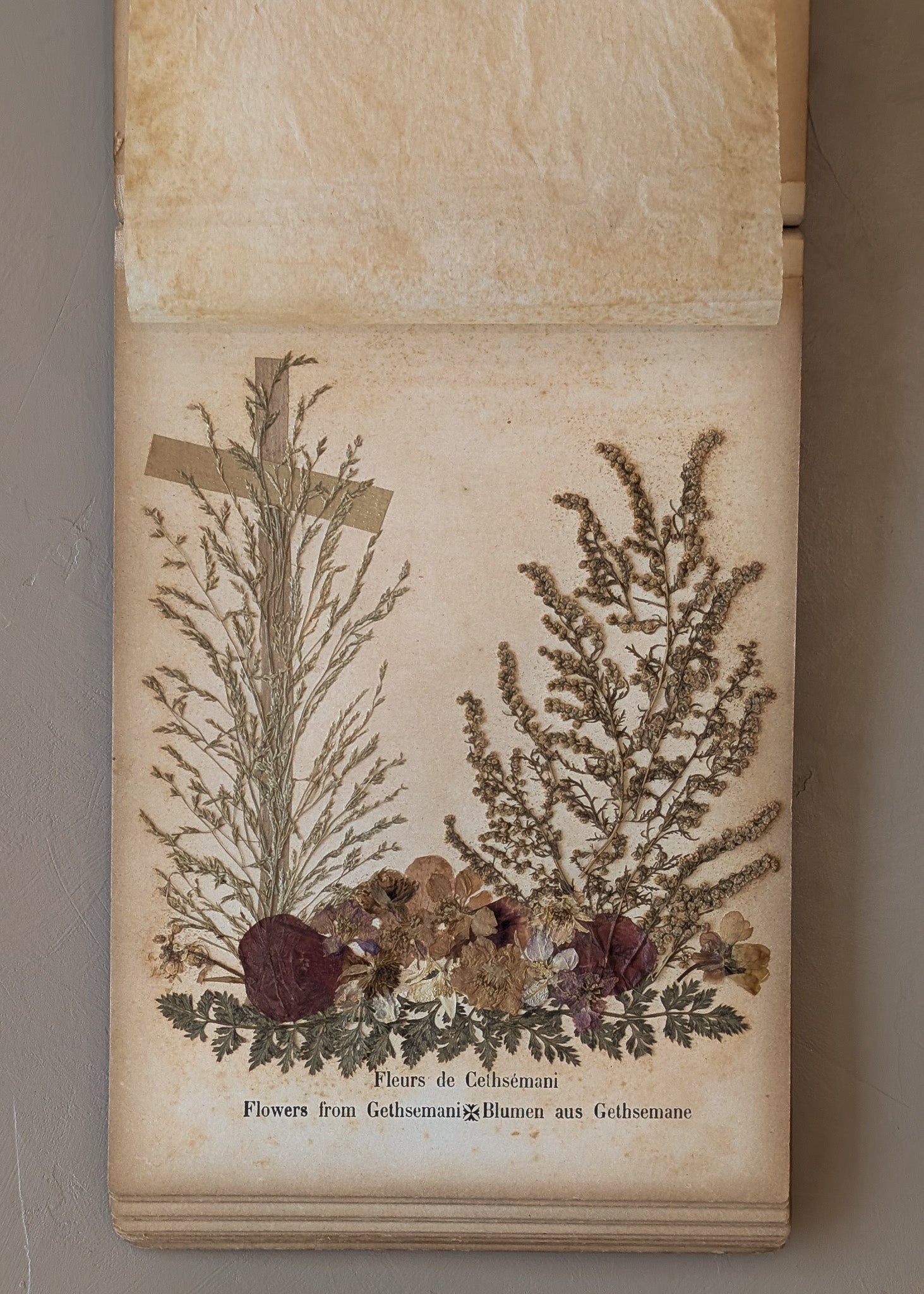 Late 1800s Antique "Flowers of the Holy Land" Pressed Flower Herbarium Book from 1871