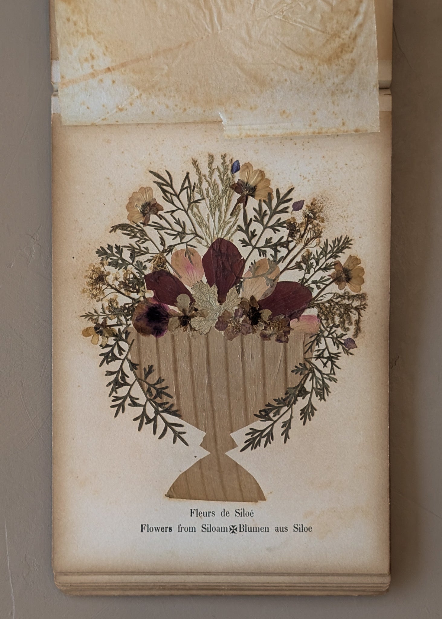Late 1800s Antique "Flowers of the Holy Land" Pressed Flower Herbarium Book from 1871