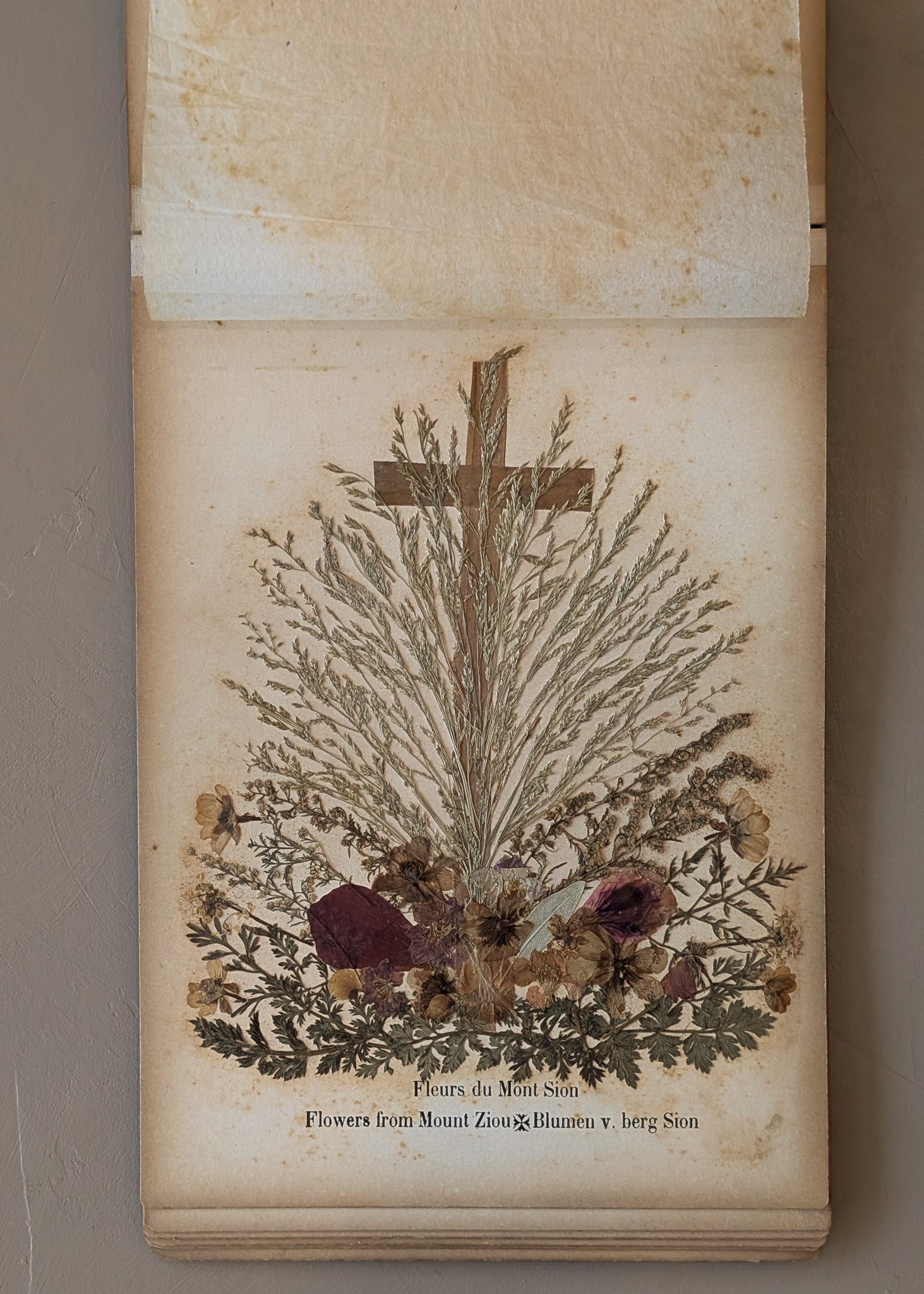 Late 1800s Antique "Flowers of the Holy Land" Pressed Flower Herbarium Book from 1871