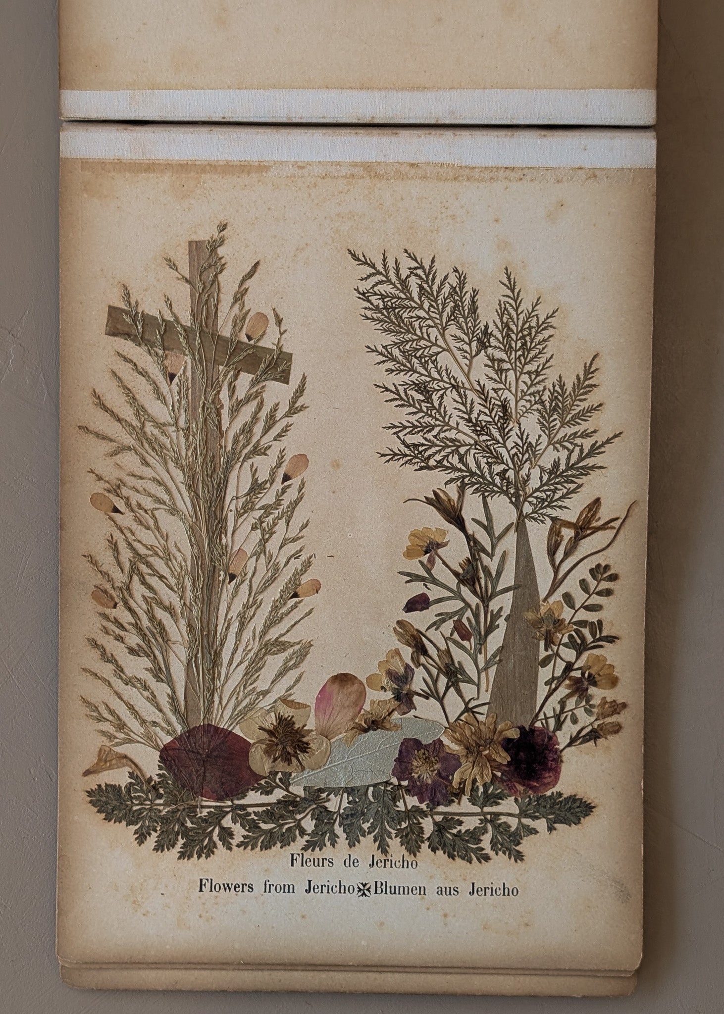 Late 1800s Antique "Flowers of the Holy Land" Pressed Flower Herbarium Book from 1871