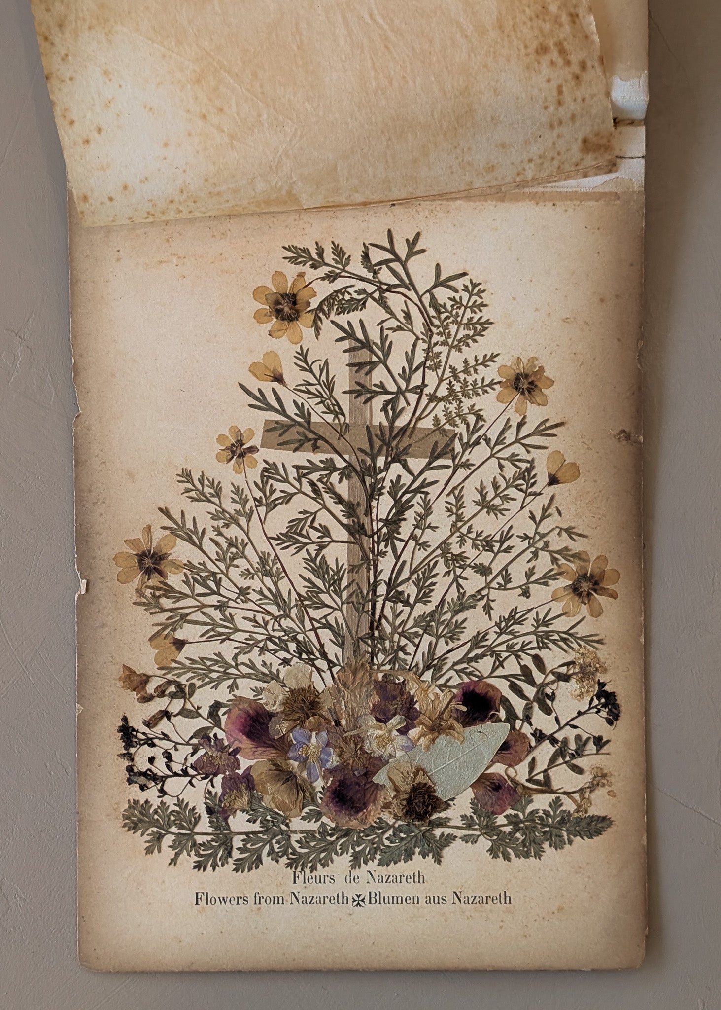 Late 1800s Antique "Flowers of the Holy Land" Pressed Flower Herbarium Book from 1871