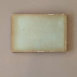 Late 1800s Antique "Flowers of the Holy Land" Pressed Flower Herbarium Book from 1871