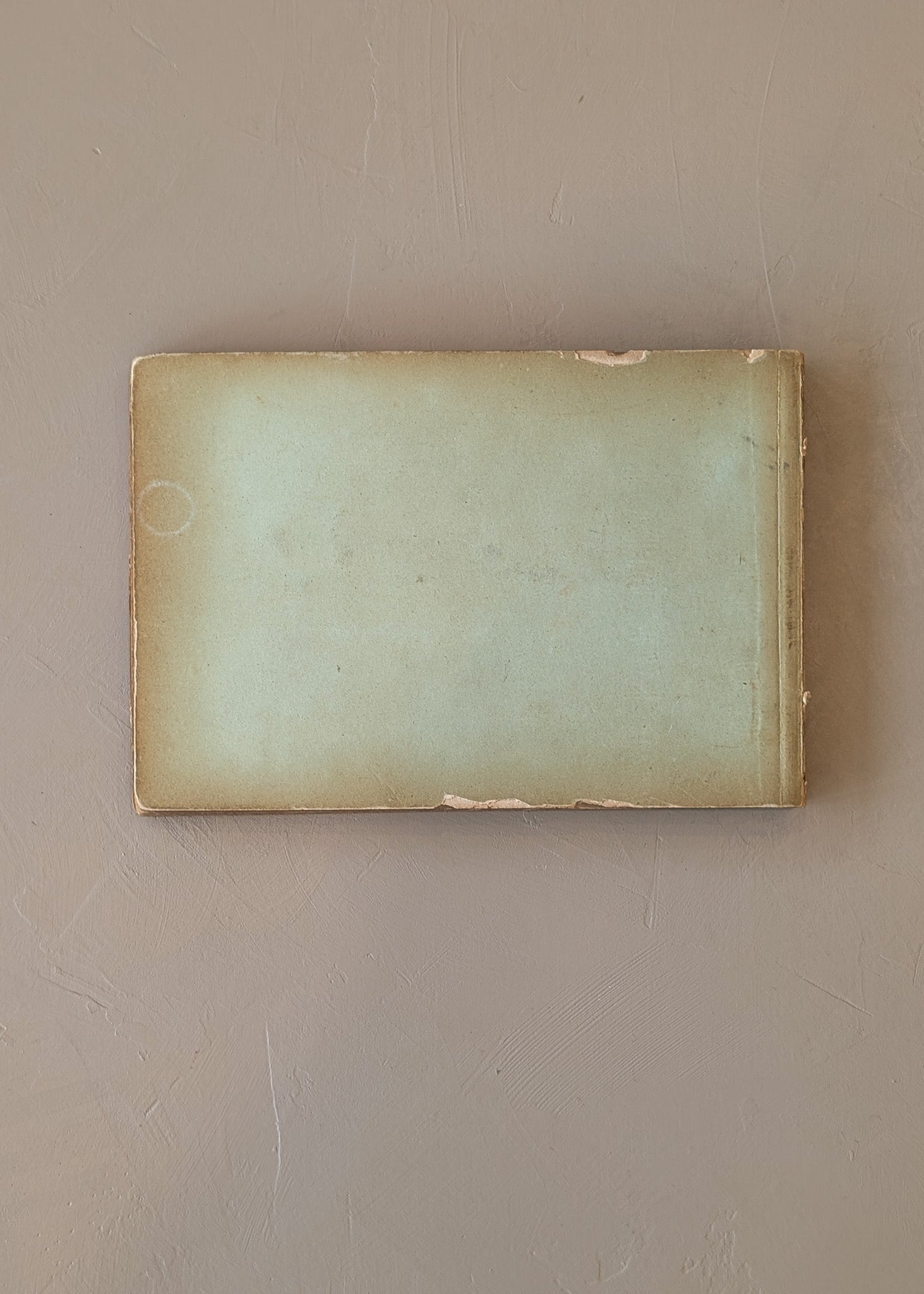 Late 1800s Antique "Flowers of the Holy Land" Pressed Flower Herbarium Book from 1871