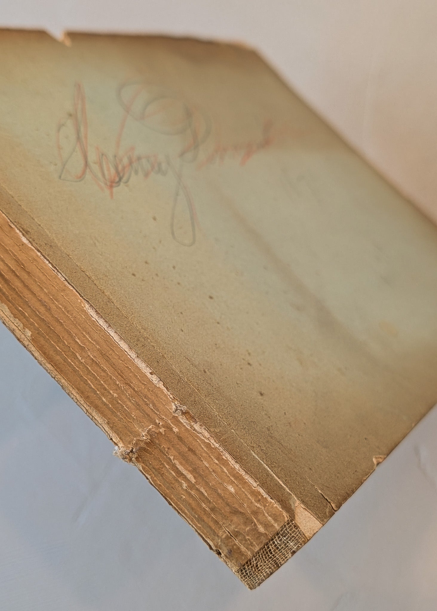 Late 1800s Antique "Flowers of the Holy Land" Pressed Flower Herbarium Book from 1871