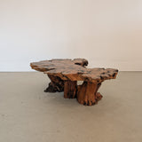 Vintage Midcentury Buckeye Burl Live Edge Coffee Table