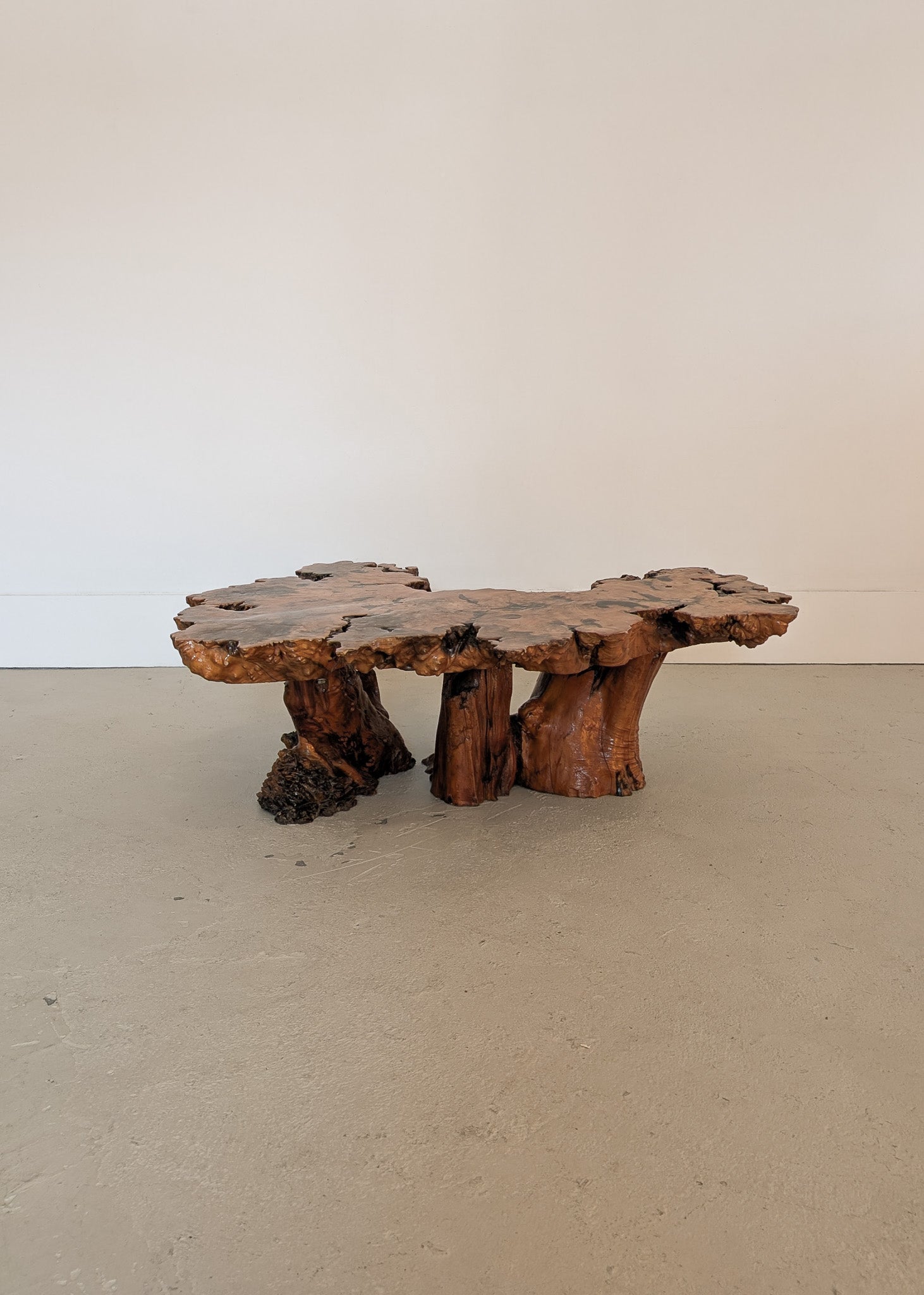 Vintage Midcentury Buckeye Burl Live Edge Coffee Table