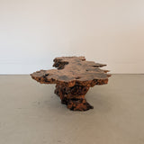 Vintage Midcentury Buckeye Burl Live Edge Coffee Table