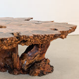 Vintage Midcentury Buckeye Burl Live Edge Coffee Table