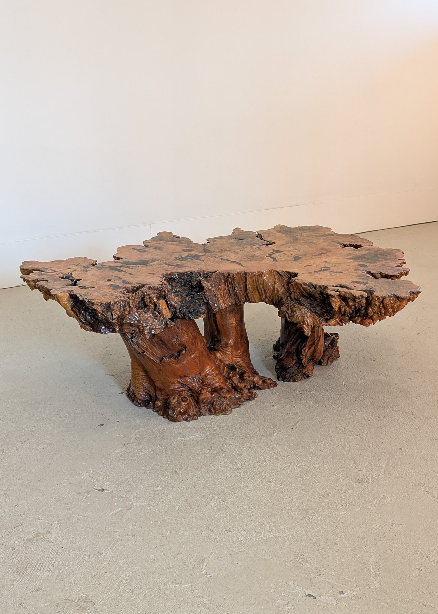 Vintage Midcentury Buckeye Burl Live Edge Coffee Table