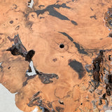 Vintage Midcentury Buckeye Burl Live Edge Coffee Table