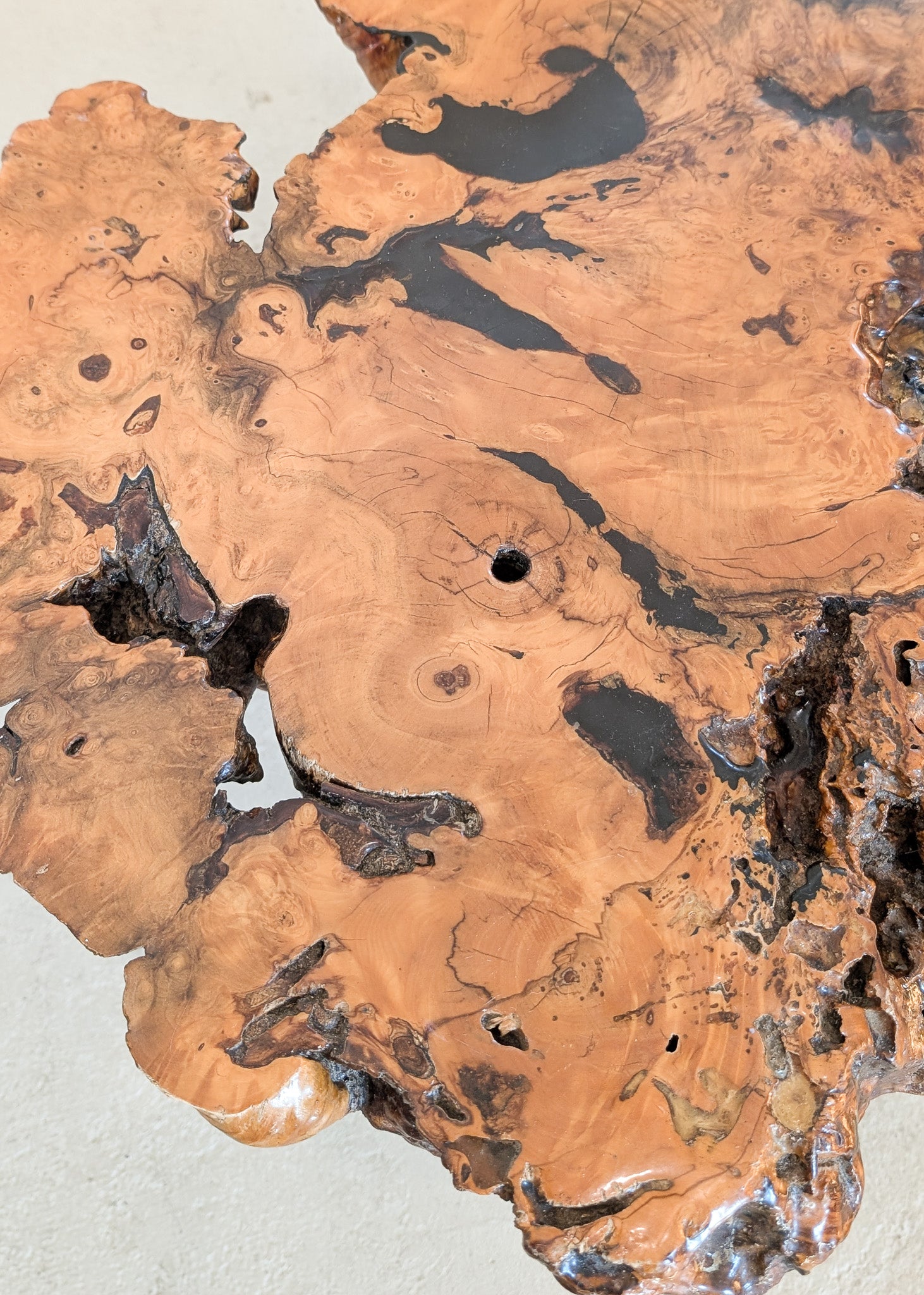 Vintage Midcentury Buckeye Burl Live Edge Coffee Table