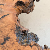 Vintage Midcentury Buckeye Burl Live Edge Coffee Table