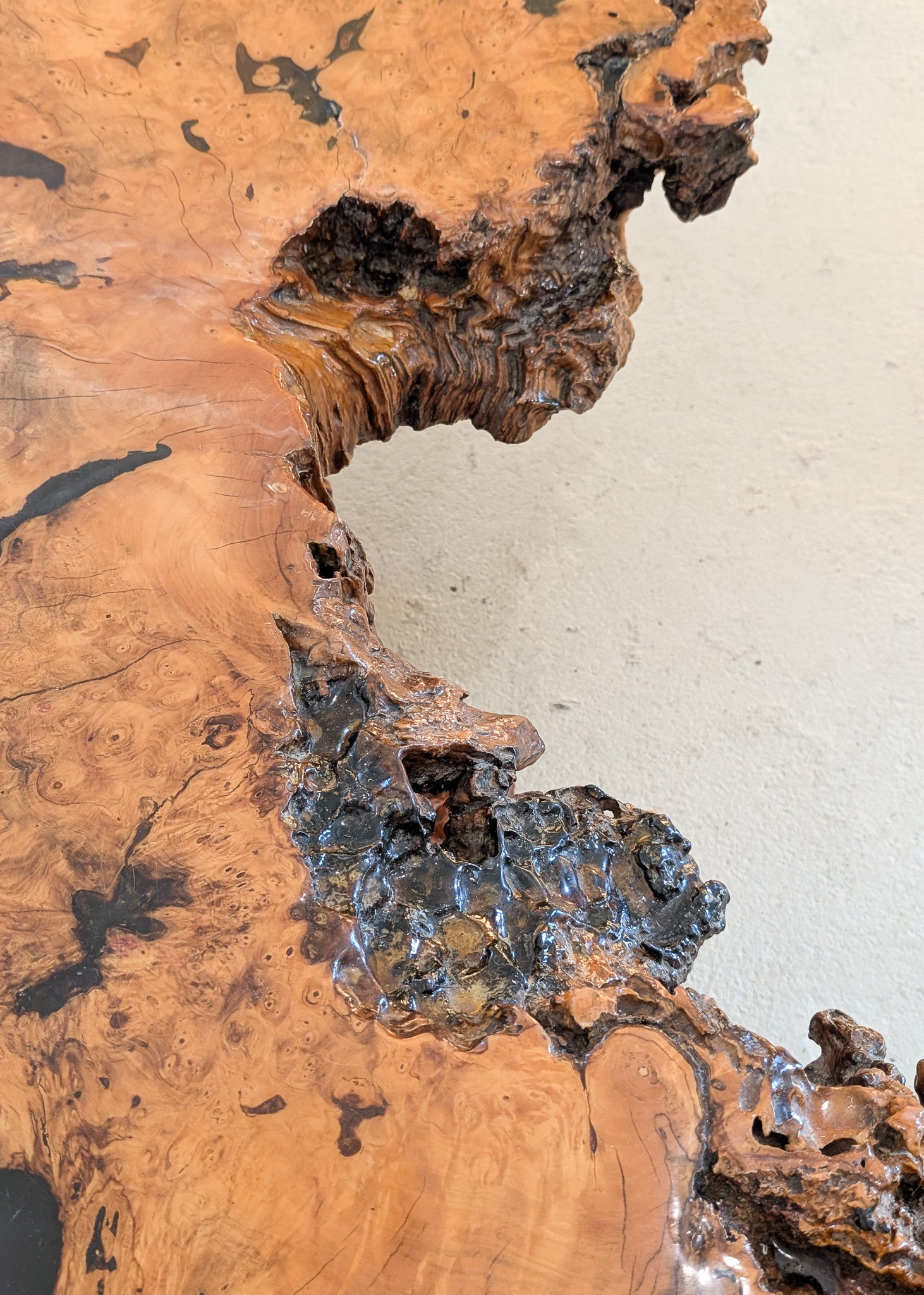 Vintage Midcentury Buckeye Burl Live Edge Coffee Table