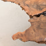 Vintage Midcentury Buckeye Burl Live Edge Coffee Table