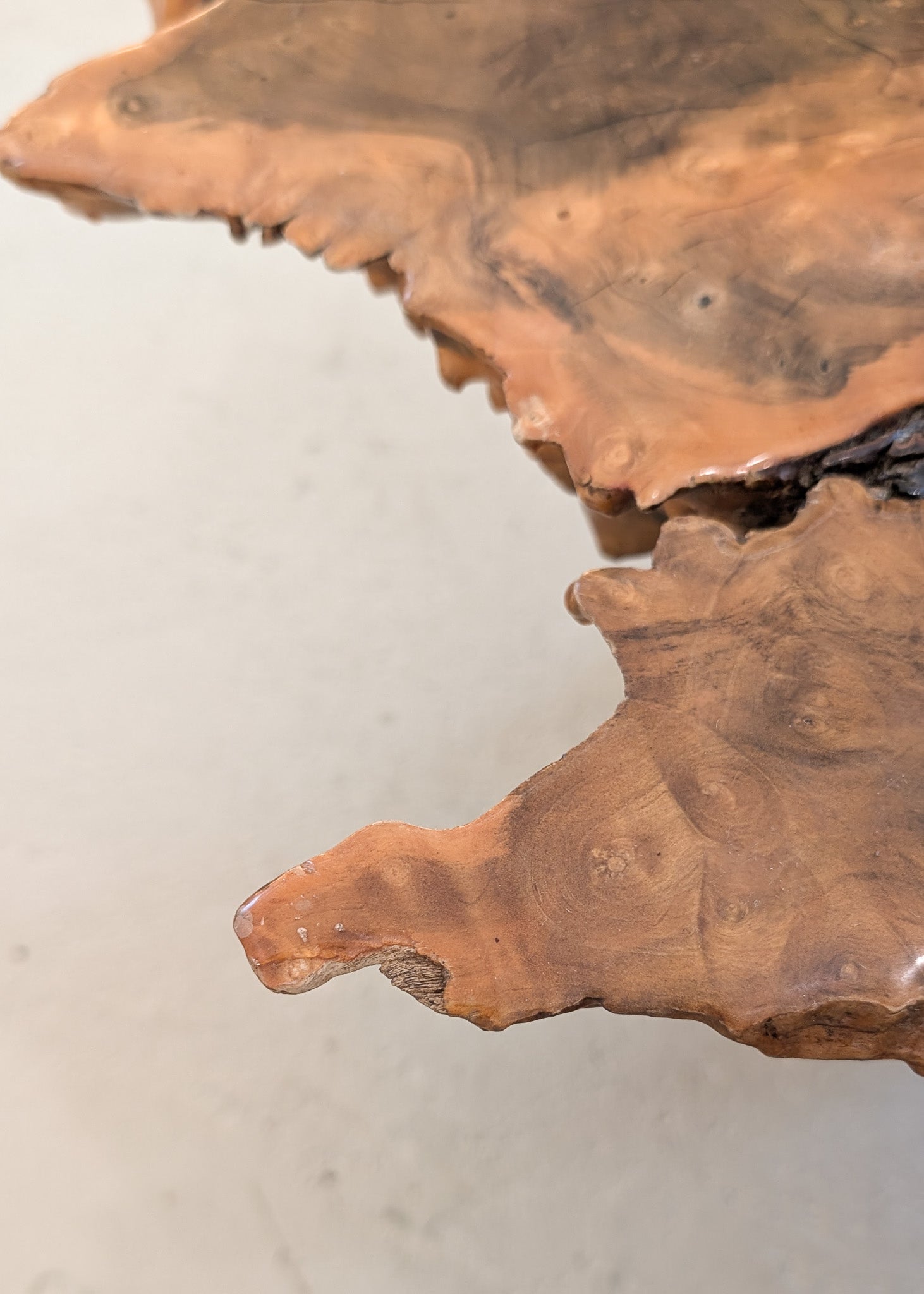 Vintage Midcentury Buckeye Burl Live Edge Coffee Table