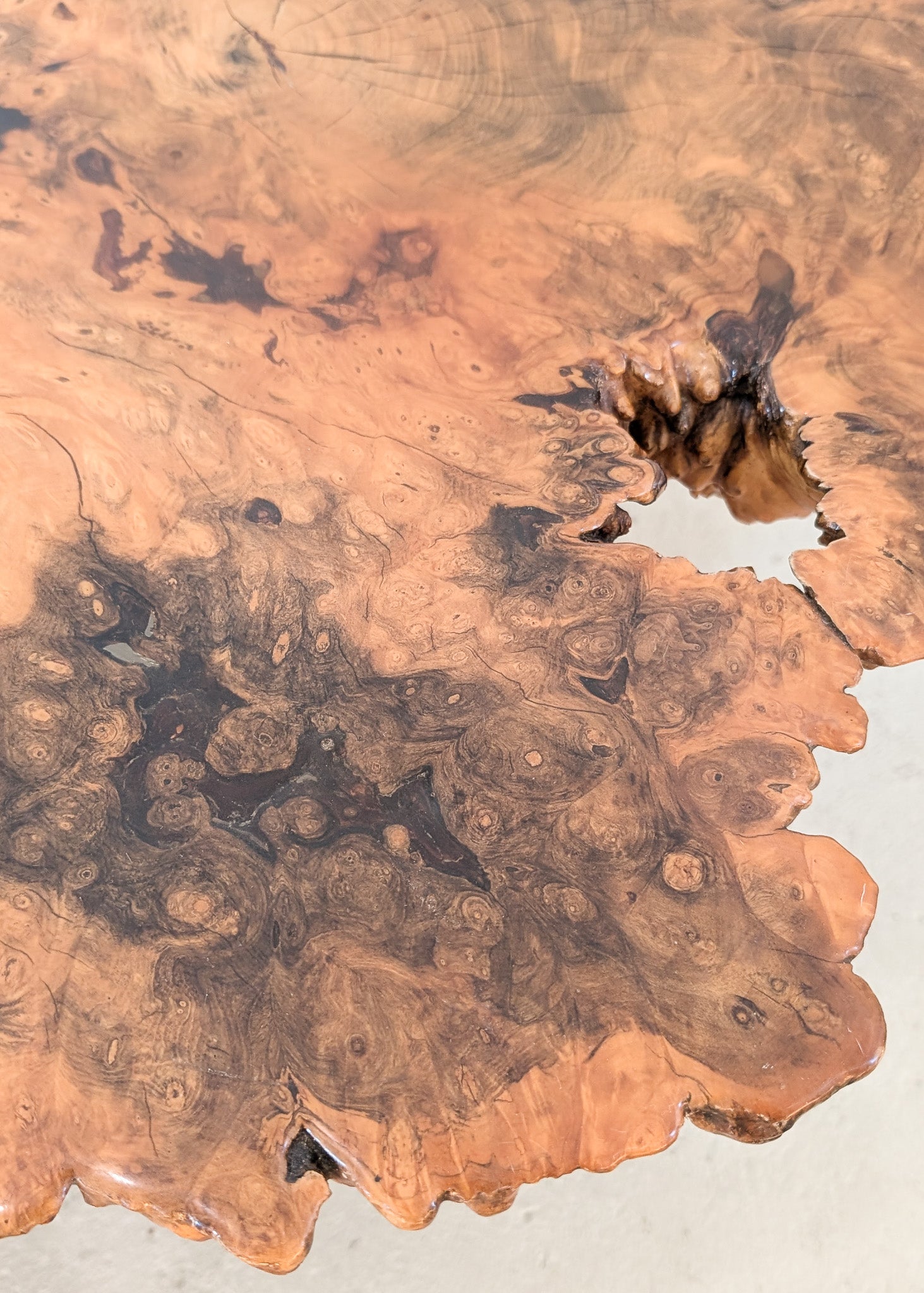 Vintage Midcentury Buckeye Burl Live Edge Coffee Table