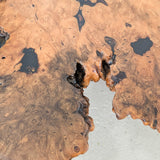 Vintage Midcentury Buckeye Burl Live Edge Coffee Table