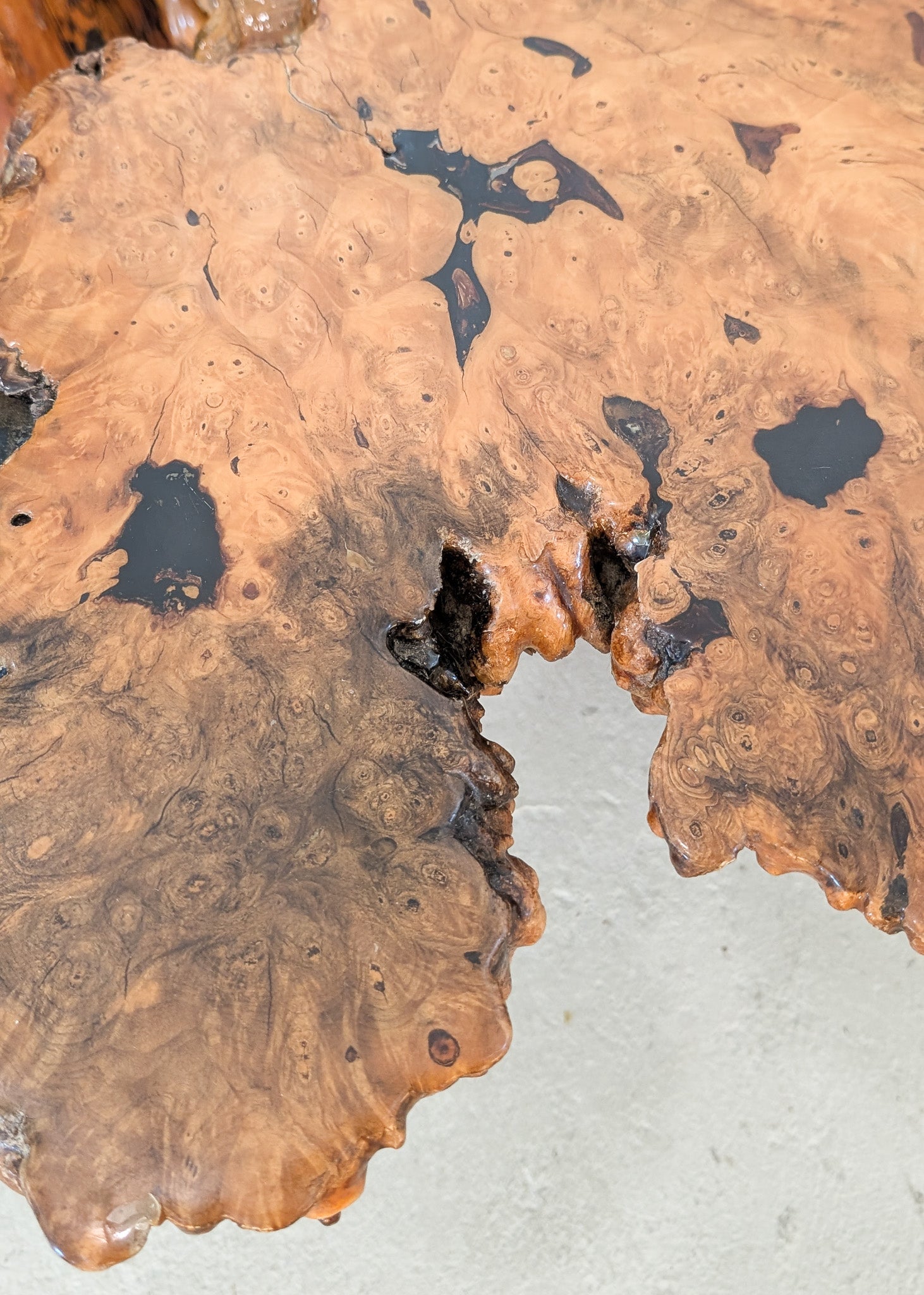 Vintage Midcentury Buckeye Burl Live Edge Coffee Table