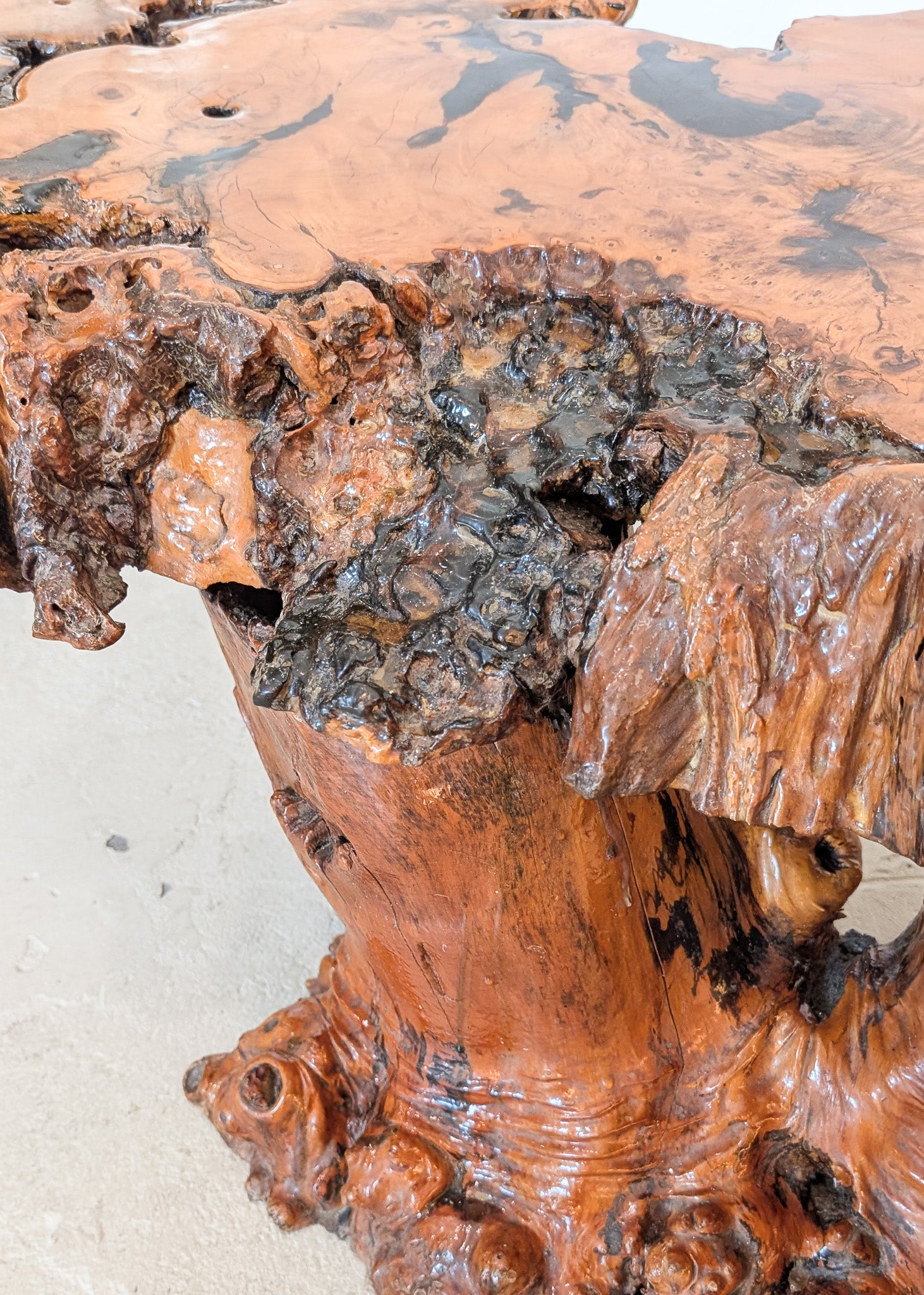 Vintage Midcentury Buckeye Burl Live Edge Coffee Table