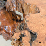 Vintage Midcentury Buckeye Burl Live Edge Coffee Table