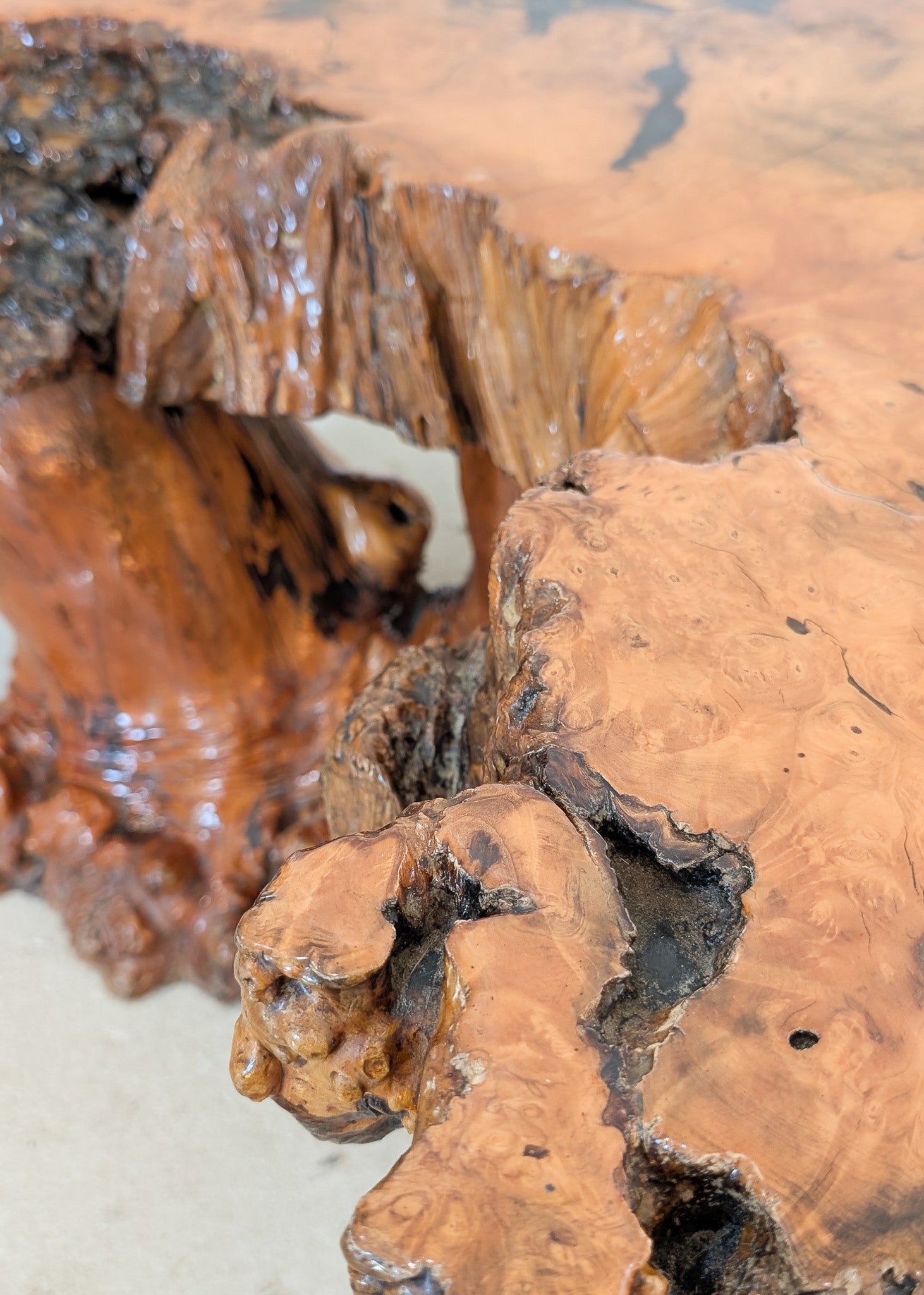 Vintage Midcentury Buckeye Burl Live Edge Coffee Table