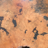 Vintage Midcentury Buckeye Burl Live Edge Coffee Table