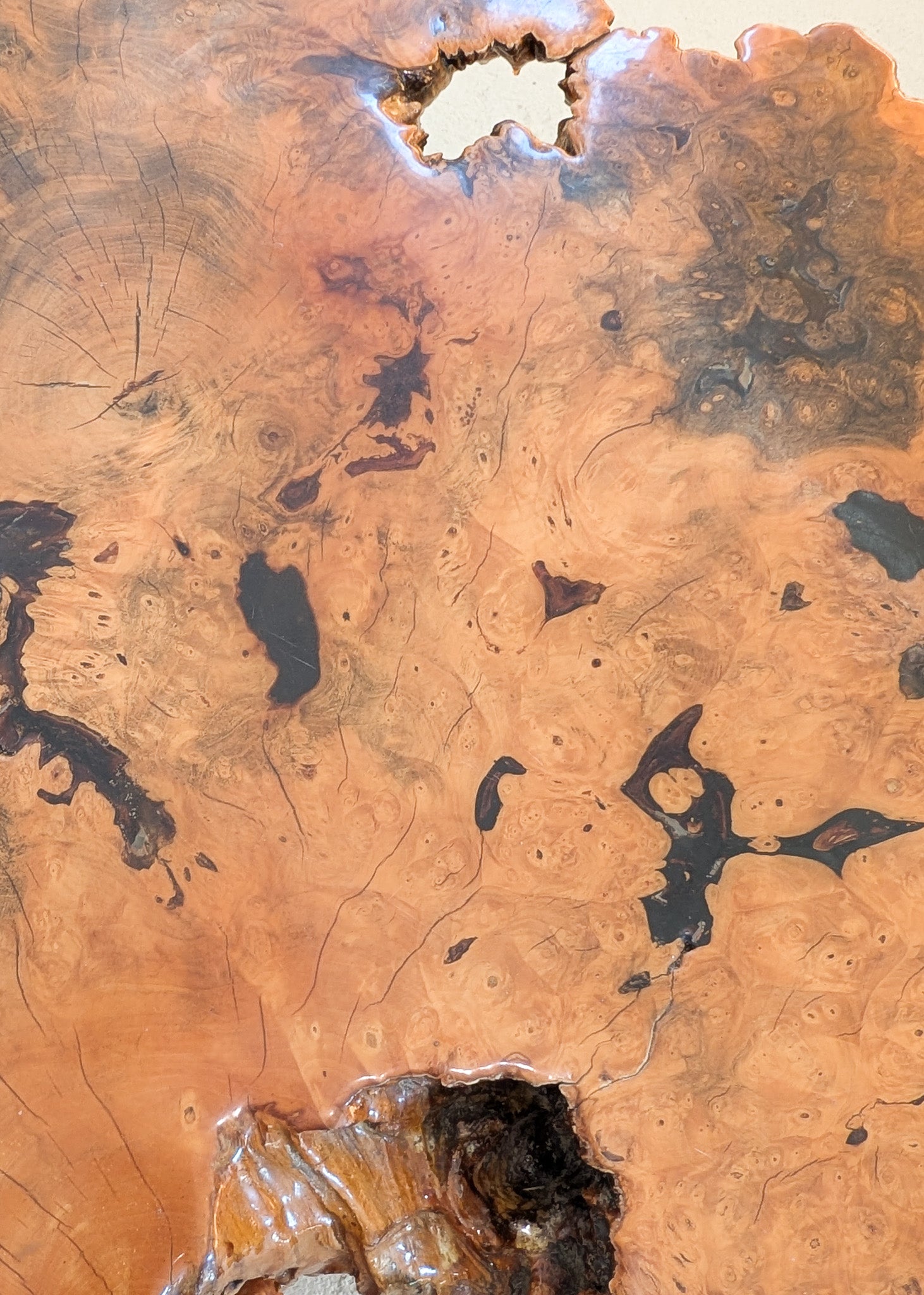 Vintage Midcentury Buckeye Burl Live Edge Coffee Table