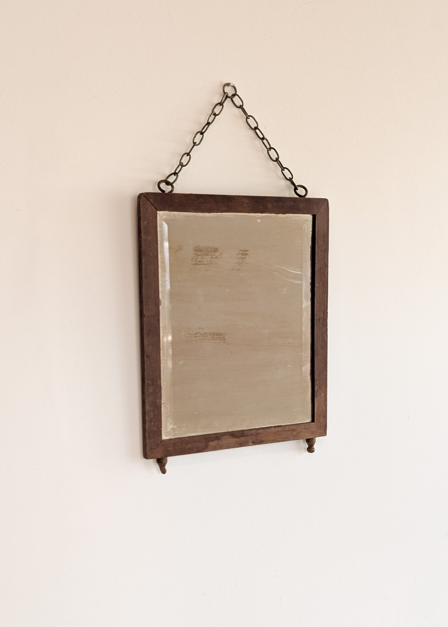 Antique Wooden Mirror with Unique Textural Flora and Fauna Backing and Hanging Chain