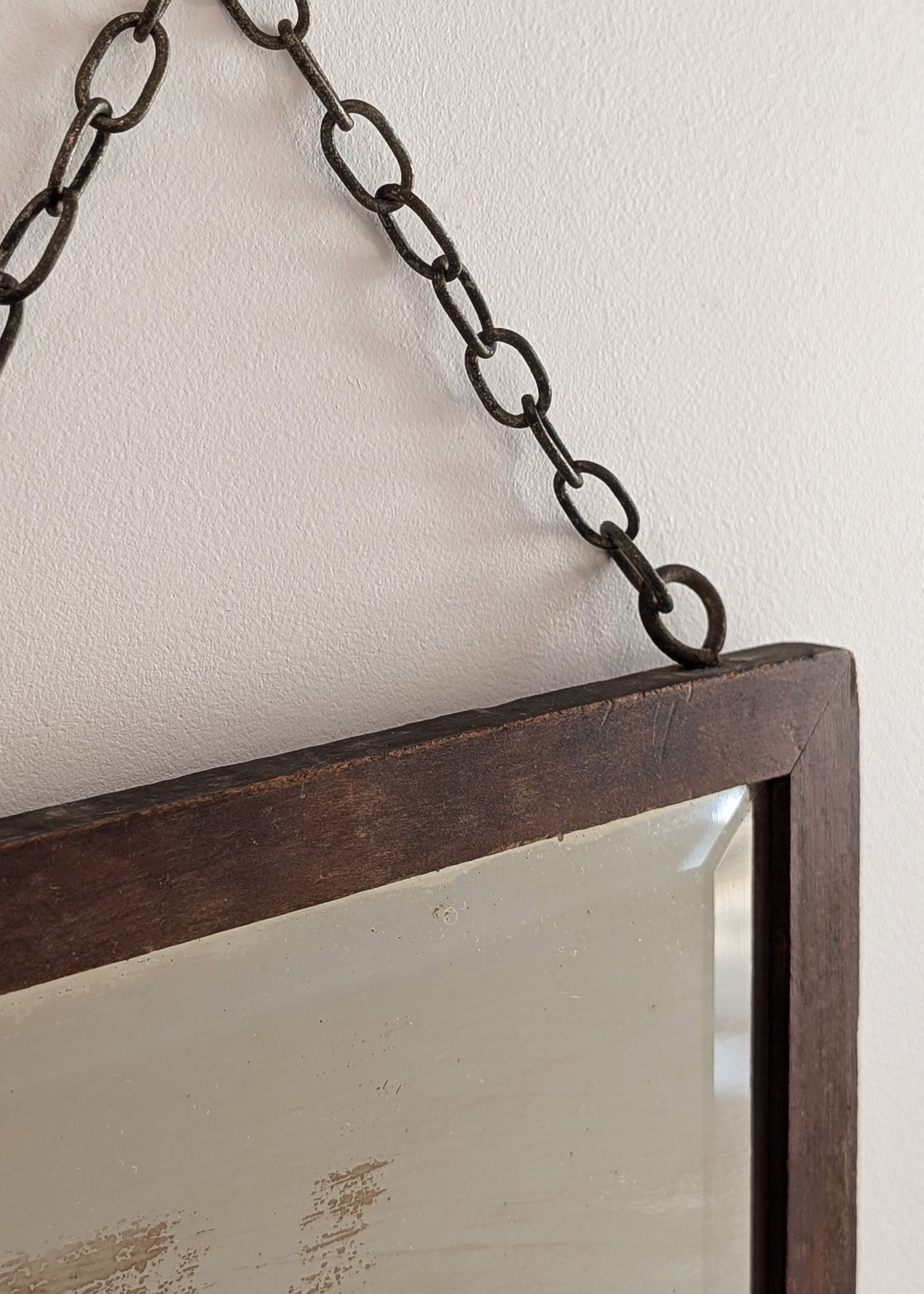 Antique Wooden Mirror with Unique Textural Flora and Fauna Backing and Hanging Chain