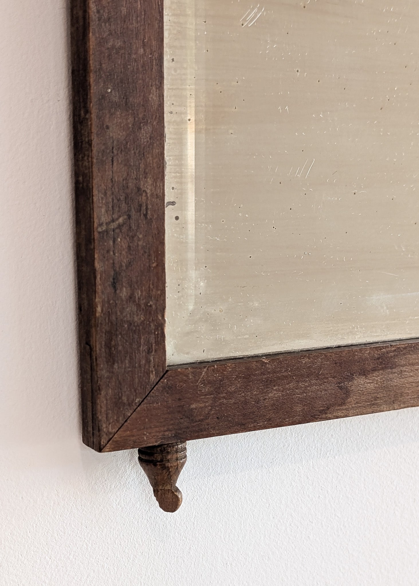 Antique Wooden Mirror with Unique Textural Flora and Fauna Backing and Hanging Chain