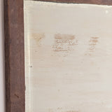 Antique Wooden Mirror with Unique Textural Flora and Fauna Backing and Hanging Chain