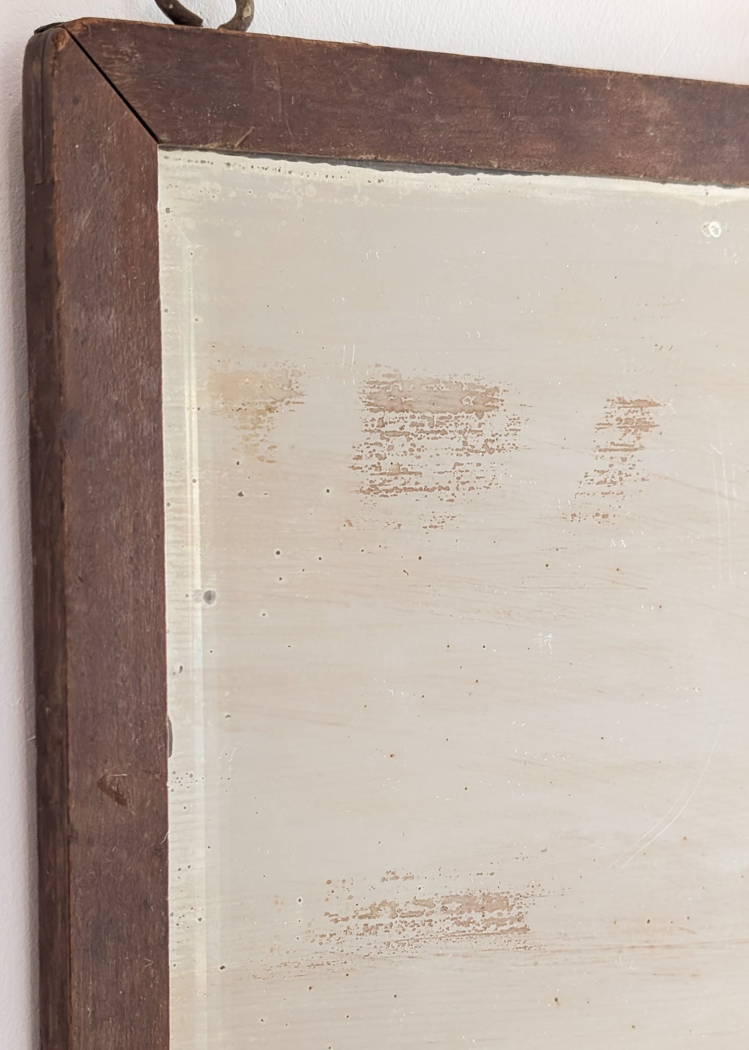 Antique Wooden Mirror with Unique Textural Flora and Fauna Backing and Hanging Chain