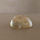 Vintage Real Dried Queen Anne's Lace Acrylic Paperweight