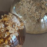 Vintage Real Dried Queen Anne's Lace Acrylic Paperweight