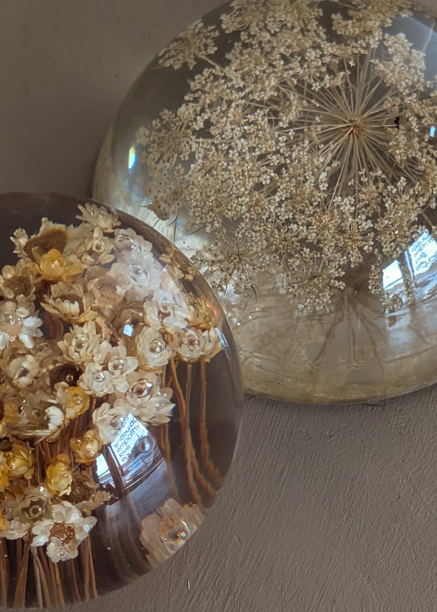 Vintage Real Dried Queen Anne's Lace Acrylic Paperweight