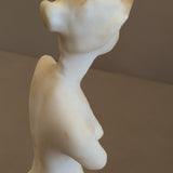 Vintage Aphrodite of Milos/Venus de Milo Statue