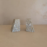 Rare Pair of Unique Vintage Fossilized Crinoid (Sea Lilies) Bookends