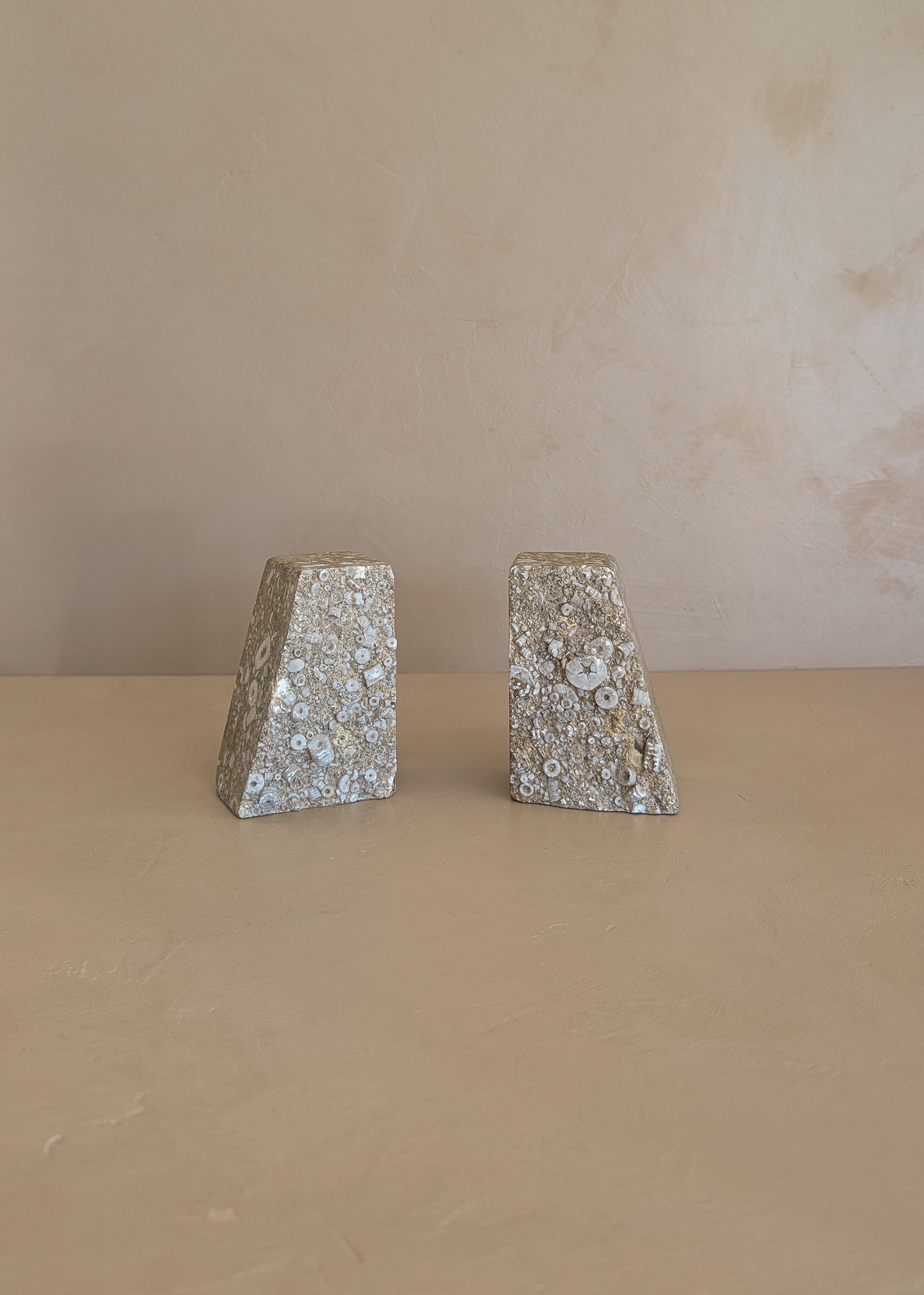 Rare Pair of Unique Vintage Fossilized Crinoid (Sea Lilies) Bookends