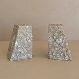 Rare Pair of Unique Vintage Fossilized Crinoid (Sea Lilies) Bookends