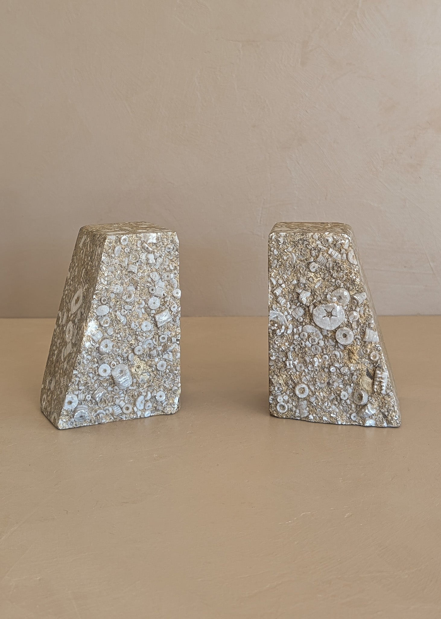 Rare Pair of Unique Vintage Fossilized Crinoid (Sea Lilies) Bookends