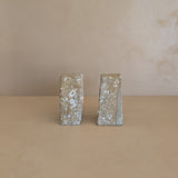 Rare Pair of Unique Vintage Fossilized Crinoid (Sea Lilies) Bookends