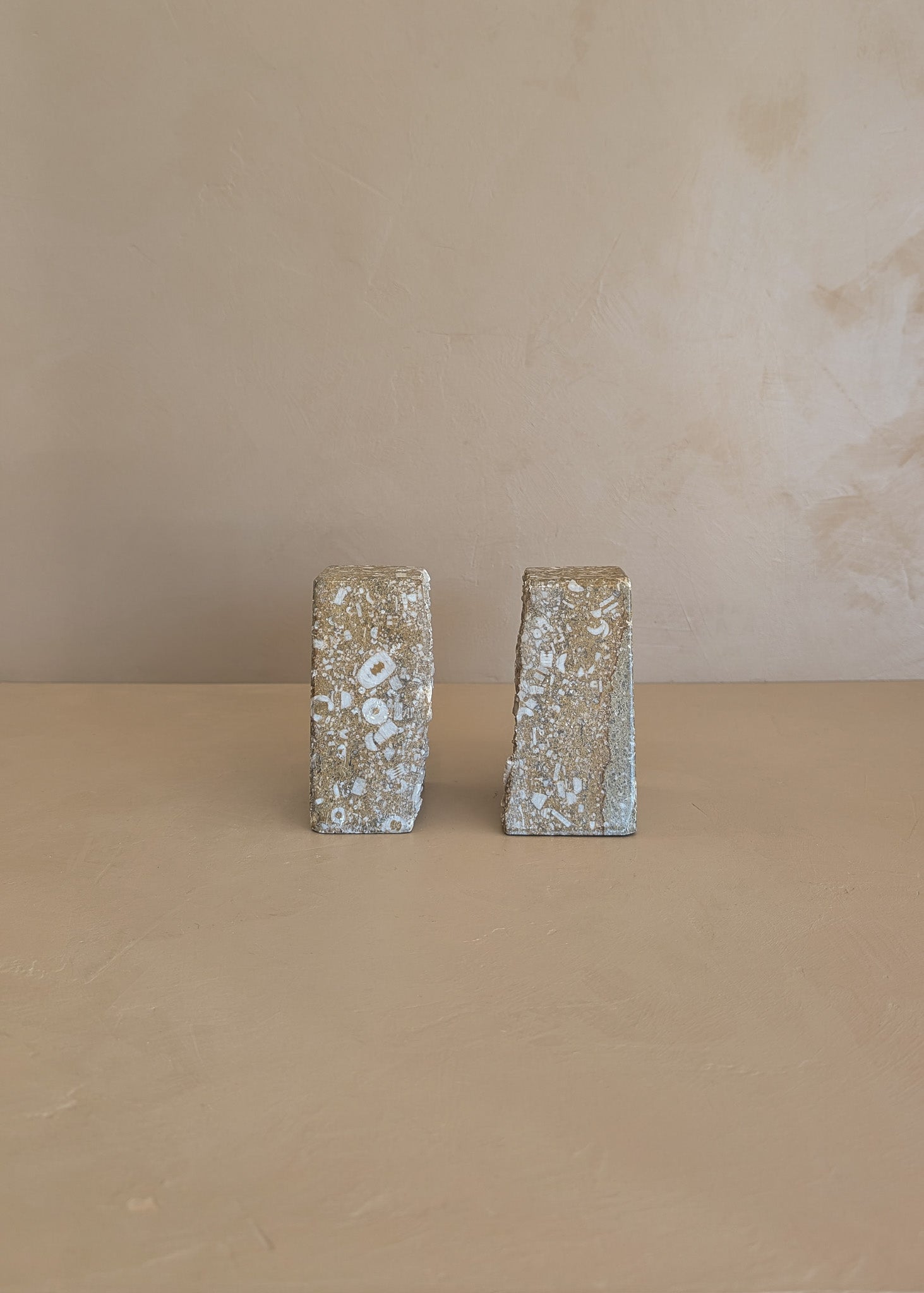 Rare Pair of Unique Vintage Fossilized Crinoid (Sea Lilies) Bookends