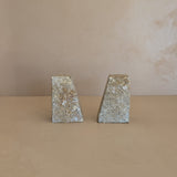 Rare Pair of Unique Vintage Fossilized Crinoid (Sea Lilies) Bookends