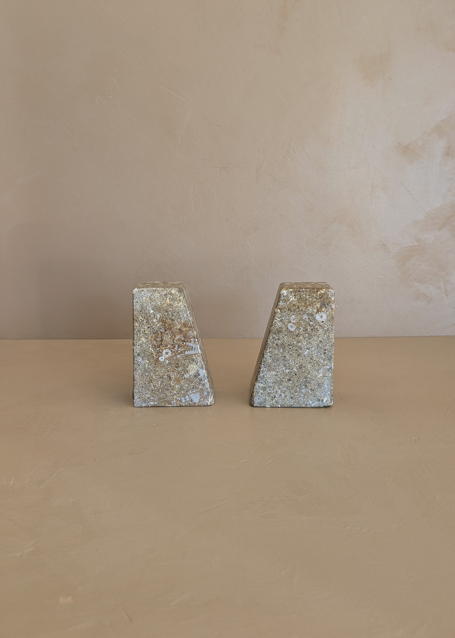 Rare Pair of Unique Vintage Fossilized Crinoid (Sea Lilies) Bookends