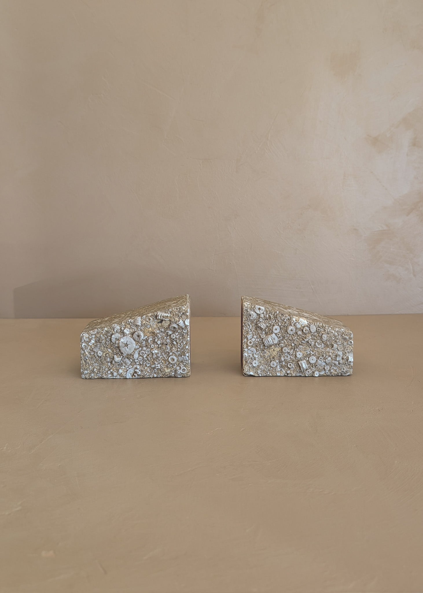 Rare Pair of Unique Vintage Fossilized Crinoid (Sea Lilies) Bookends
