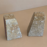 Rare Pair of Unique Vintage Fossilized Crinoid (Sea Lilies) Bookends