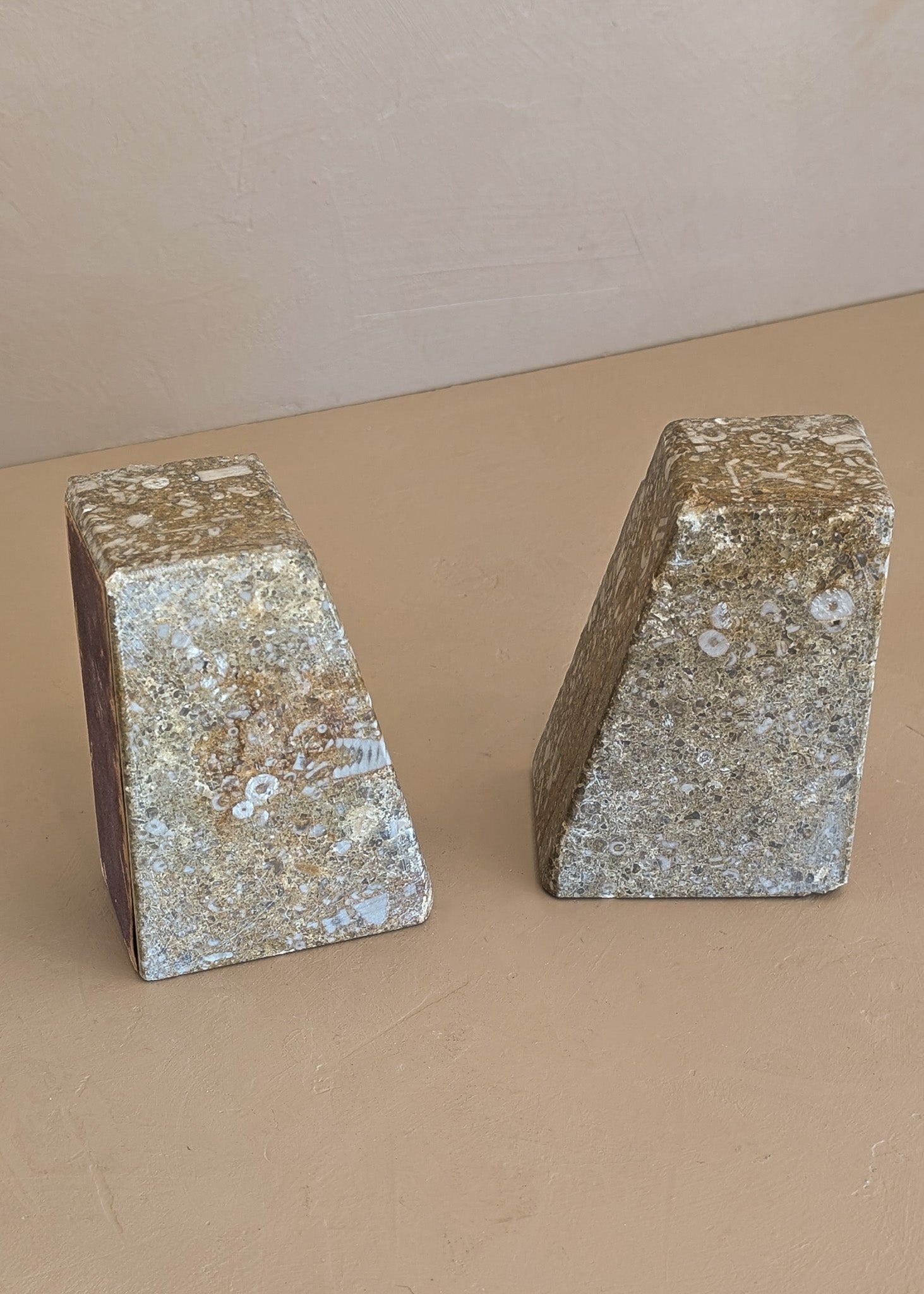 Rare Pair of Unique Vintage Fossilized Crinoid (Sea Lilies) Bookends
