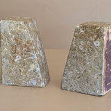 Rare Pair of Unique Vintage Fossilized Crinoid (Sea Lilies) Bookends